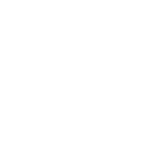 Armadicons